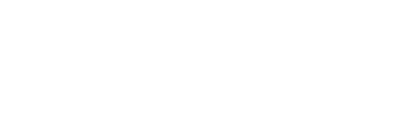 Vizyon Group